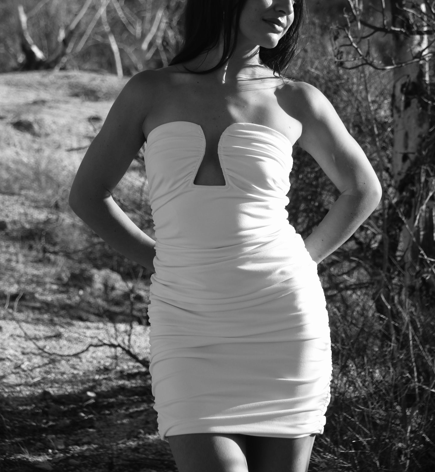 HAILEY STRAPLESS DRESS